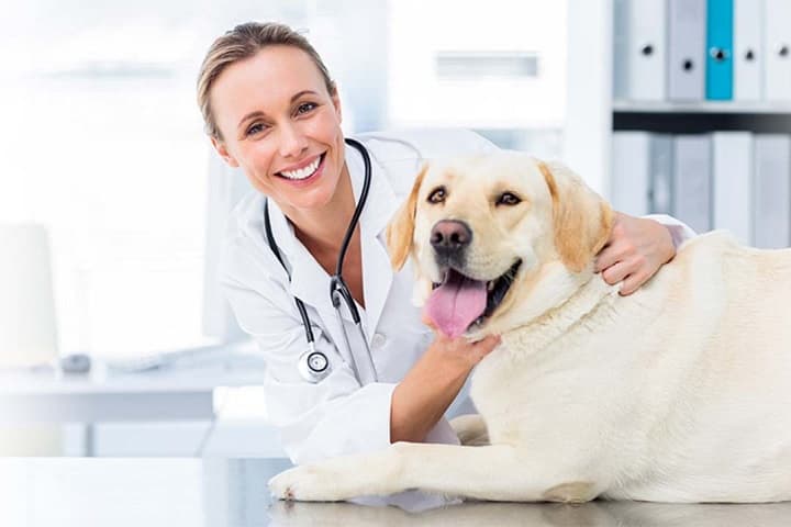 Eurovets Veterinary Suppliers